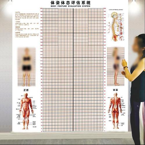 体态评估表墙贴健身房体测网格纸瑜伽馆私教姿势体位体脂图体姿图