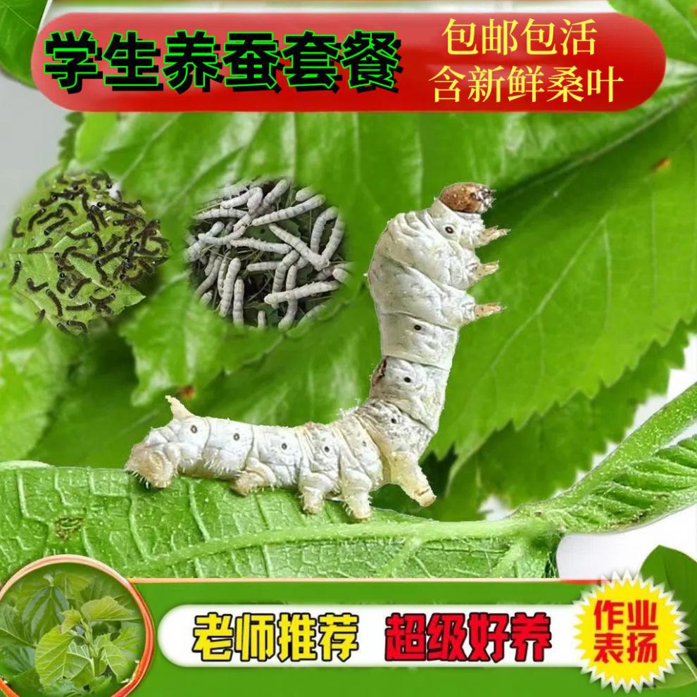 384446e9-d39d-4102-9910-efd0aaae25c3.jpe