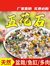 天然彩石多肉盆栽铺面石子鹅卵石鱼缸造景底砂种花装饰五彩小石米