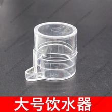 迷你饮水器夜市喂水器蛐蛐罐加厚水碗用具养殖场大号方便家用饭板