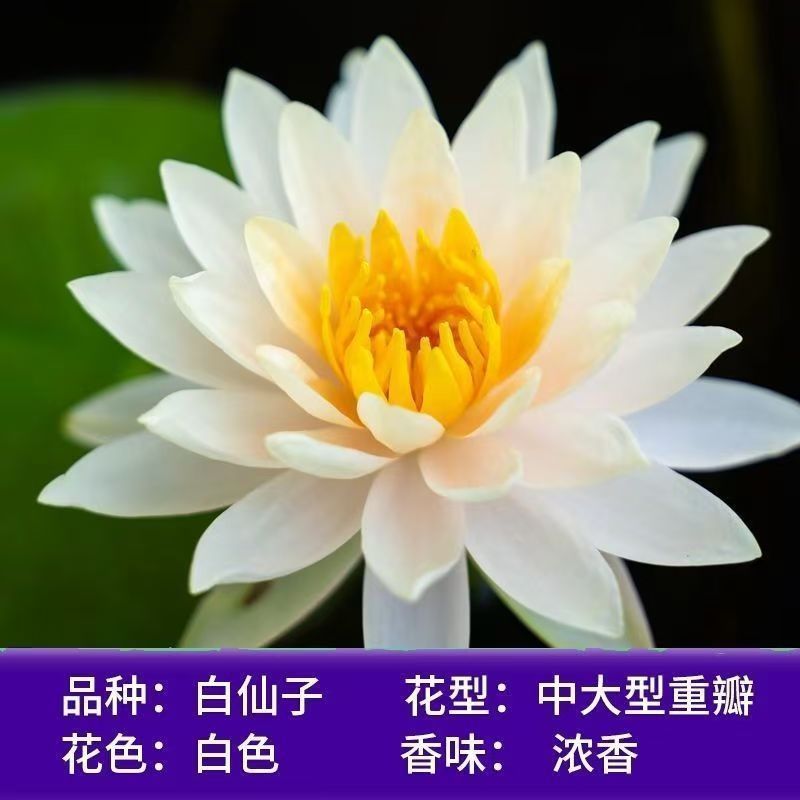 6f393d32-1d2a-49a1-8d1c-d4af27a177c6.jpe