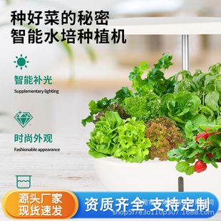 New Smart Touch Screen Planting Machine 12/13 Holes Full Spectrum Plant Growth Lamp Hydroponic Indoor Plant Growth Machine