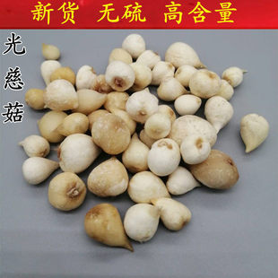 ���u��ȹ� �״ȹ� ��ȹ� �״Ĺ� ���f���^ ��Ĺ� ɽ���в�ș