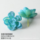 Lotus blue (flocking)