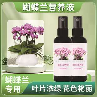 Phalaenopsis special nutrient solution to promote flowering yellow leaf water soluble fertilizer household potted plants universal liquid fertilizer