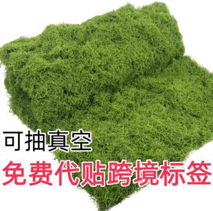 ����̦�\�쾰����̦�\΢���^���Ô[����ƺ�辰���ԑ���ٲ�Ƥ�Gֲ