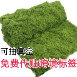仿真苔藓造景仿生苔藓微景观布置摆件草坪盆景盆栽户外假草皮绿植