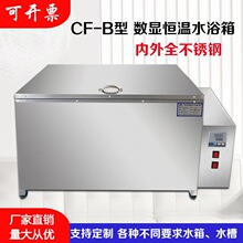 数显电热恒温循环水箱实验室低温水槽工业水池锅水浴箱