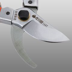Sagawada household shears, gardening garden pruning shears, tree shears, fruit branch shears, pruning shears 168T iron handle dipped in plastic