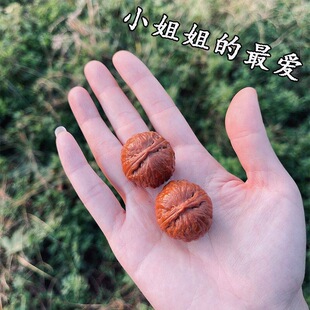 �䌦Ұ��������С��������С�ߴ��������҈A��M�����ֽ�