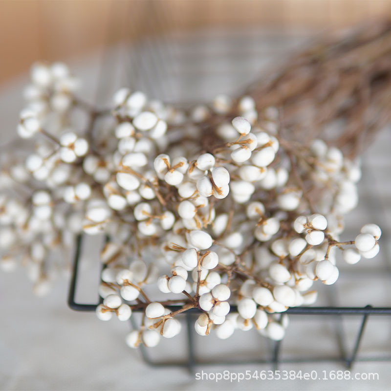 small ginkgo winter mushroom dried flower white bean eternal flower diy flower bouquet handicraft decorative flower handmade flower box material