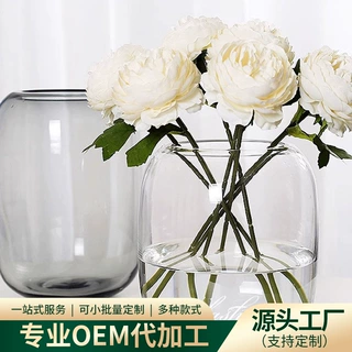加工定制创意玻璃花瓶水培鱼缸景观器皿瓶多肉植物绿植手工玻璃