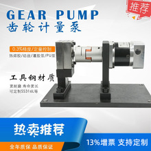 面粉漿液超微量齒輪計量泵 齒輪加量泵自產自銷工具鋼材質