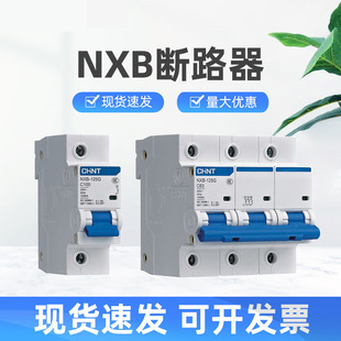 Nxb-63A Air Switch Household Air Switch Small Circuit Breaker 1P2P3P Air Conditioning Main Switch Short Circuit Protection Manufacturer