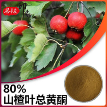 ɽ髿��Sͪ80% ɽ��~��ȡ��Flavonoids ˮ���ԝ�s��ԭ��