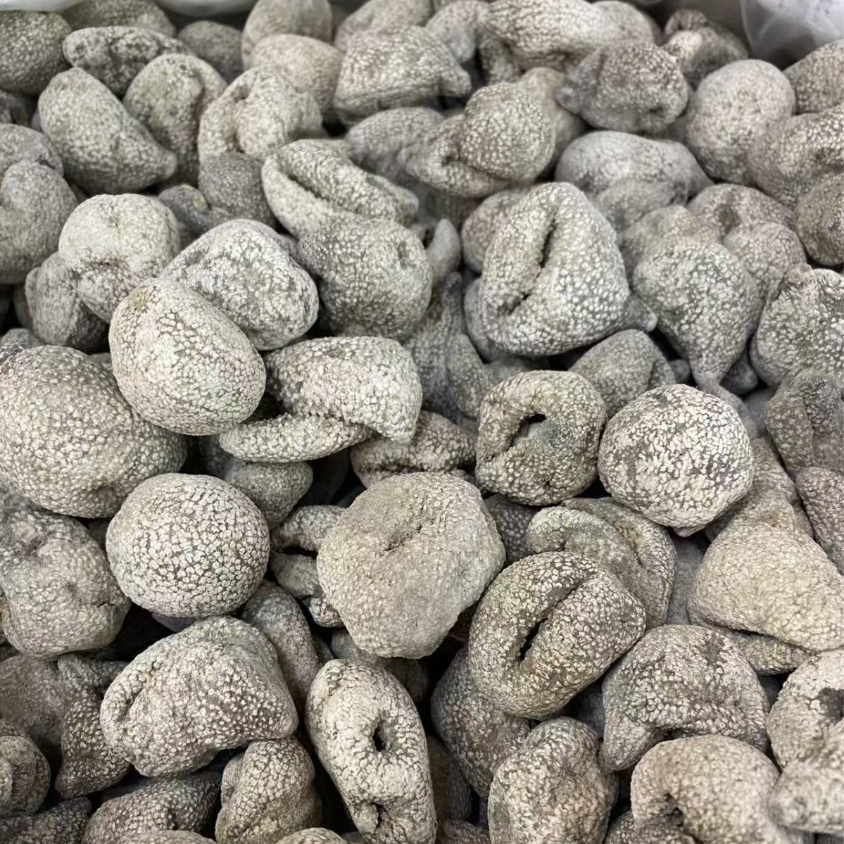尖尾珍珠球参白珍珠参果参龙眼参酒店水发专用海参一手产地直销