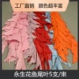 天然家居鱼尾鱼尾叶永生花