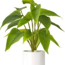 �����R��ɏ�~���ԁ��R�d���N���uͨ���^�~�辰�ָ�����~������