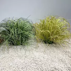 仿真绿植;仿真花;花盆容器