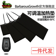 �����ӟ�|�����،m������܌��ﱣ����B��Ӝؿ؜������x�a�؉|