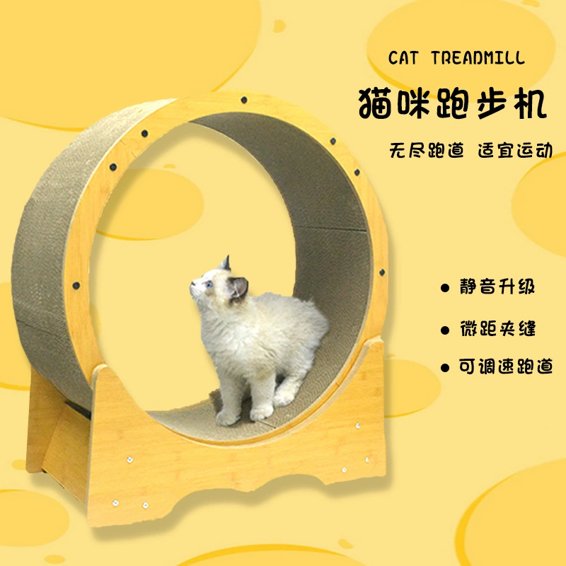 Кошачий захват Домашние животные Кошки беговые дорожки