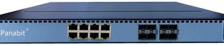 PaiNet TAP Splitter: Traffic Integration, Multiple Mirror Inputs, and Application-Level Fine-Tuned Splitting PaiNet TAP Splitter: Traffic Integration, Multiple Mirror Inputs, and Application-Level Fine-Tuned Splitting