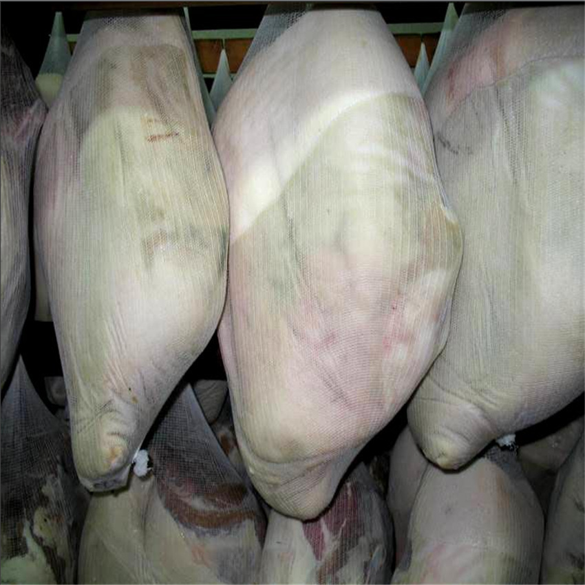 微信图片_20230814180656