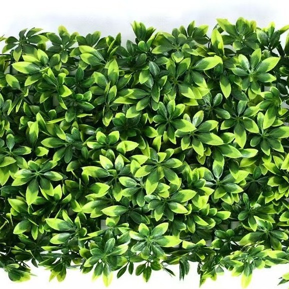 Fortune leaf