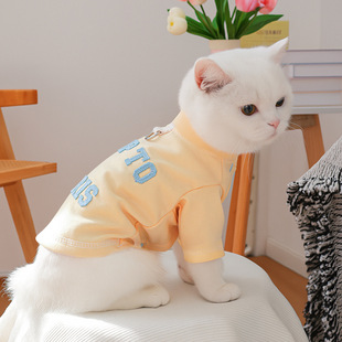 �F؛������b���ﹷ��؈���·��ɐ�С��Ȯ������l�A�I������