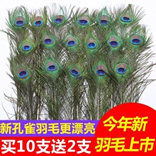 ���ȸ��ë��β���۾��Ʒ�ҾӔ[�O�͏d��c��ƿ�b�Ʒ