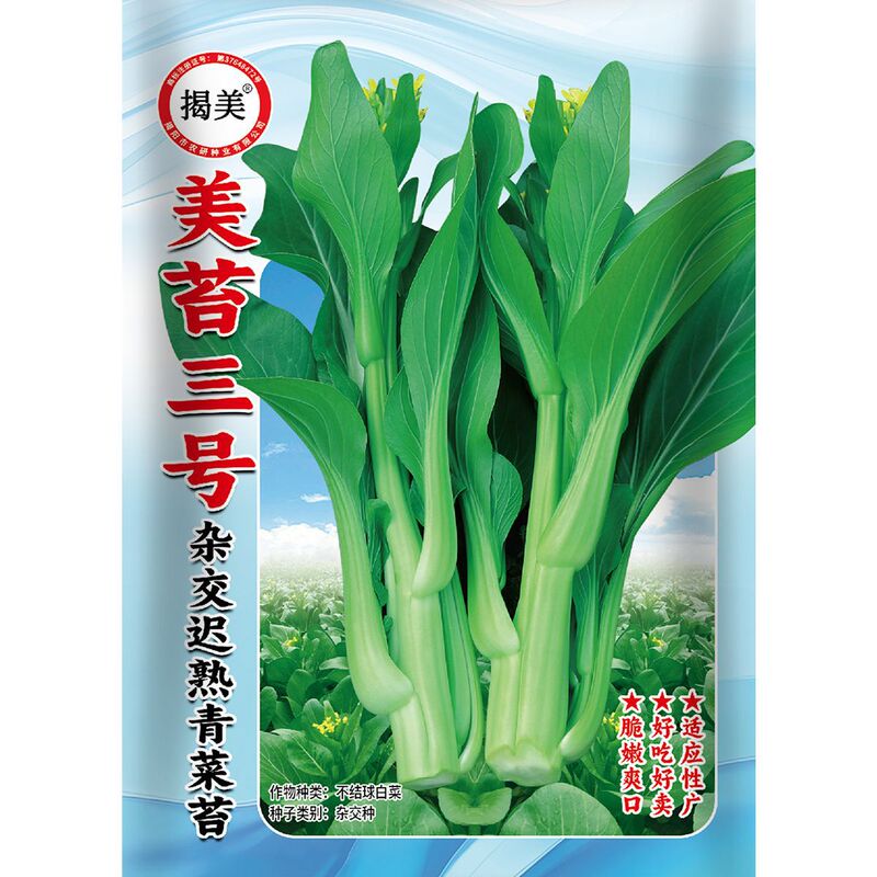Jie Meimei Cabbage No. 3, hybrid medium-late maturing green cabbage seeds, multi-harvest sweet cabbage seeds