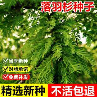 �����²�����ɼ�N�Ӷd���������ͺ�ϲ��ů�G���������~��ľ��N��