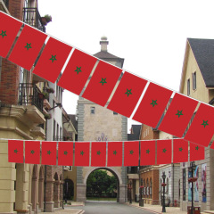 14*21cm摩洛哥串旗方形球迷旗幟20*28cm弔旗滌綸拉旗廠家批發