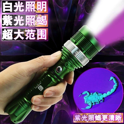 rechargeable UV flashlight for — UV fənərlər
