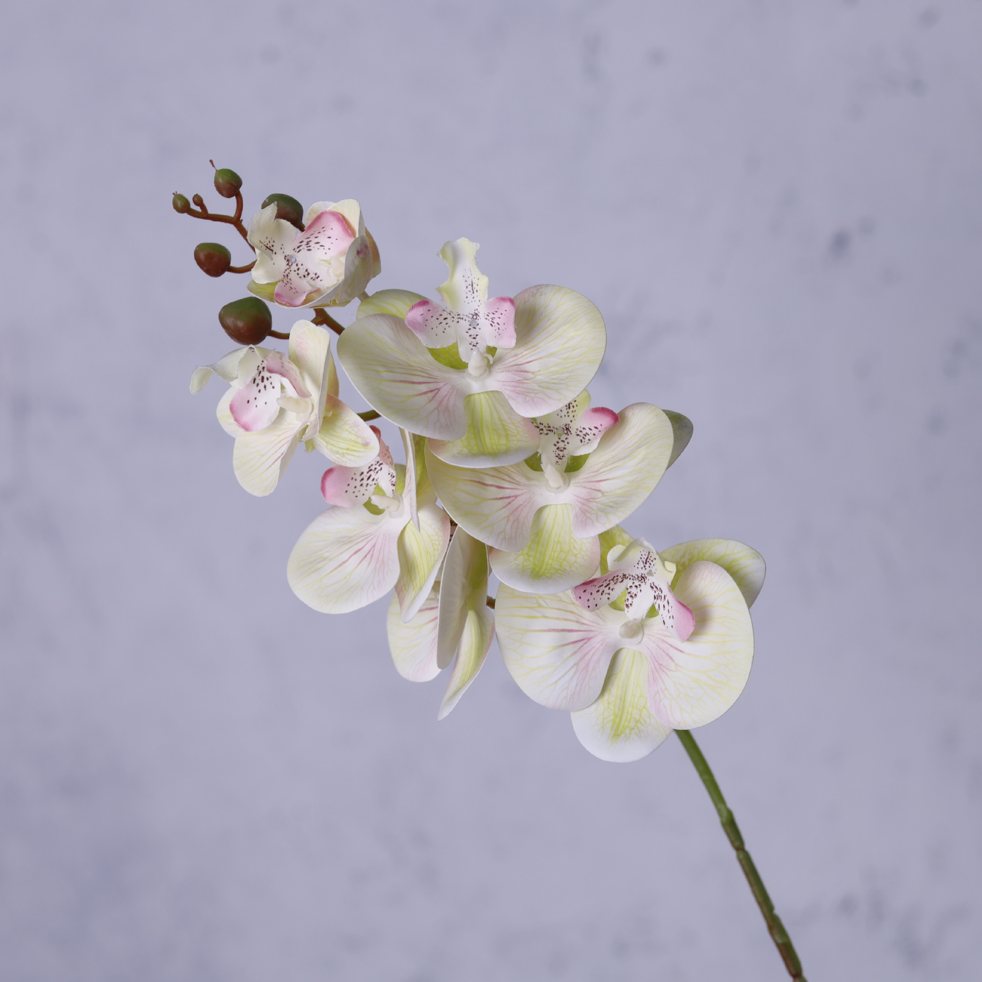 Impresión 3D de 7 cabezas de orquídeas mariposa flor de decoración de flores de alto nivel flor de nicho decoración floral decoración de sala de estar