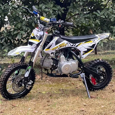 Avtomobil və motosiklet məhsulları istehsal avadan 110Cc Power All-Terrain Competitive