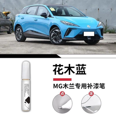 Car wax, Paint Mg 4Ev Car Paint - mg-mulan-flower-mulan-touch-up-pen-sanding-paper