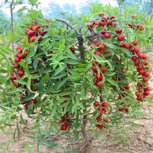 �}���� �W���� �r�����A�}������ ����Y�� �������� �ϱ����Nֲ