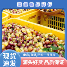 �V���خa���r�߲������Fժ��ɫ�����\��С�����ݽ��罷�r���ԷN