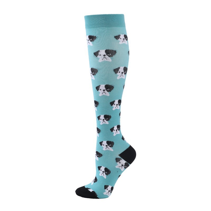 푸른 바닥 강아지