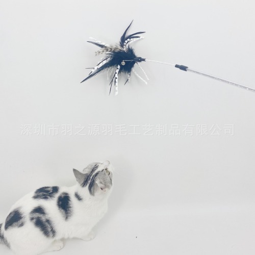 Direct Sales from Starwisecat - Spiral Rod Cat Wand with Natural Multi-Color Firebird Feathers Cat Toy