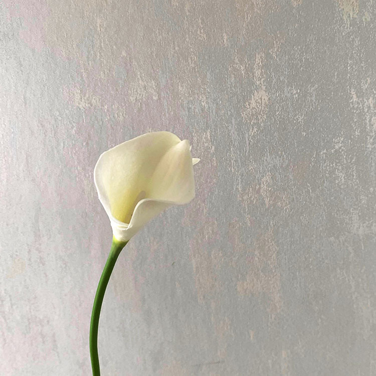 Flor artificial pu sentir Calla Lily Sala decoración del hogar diseño hogar a juego novia celebración flor