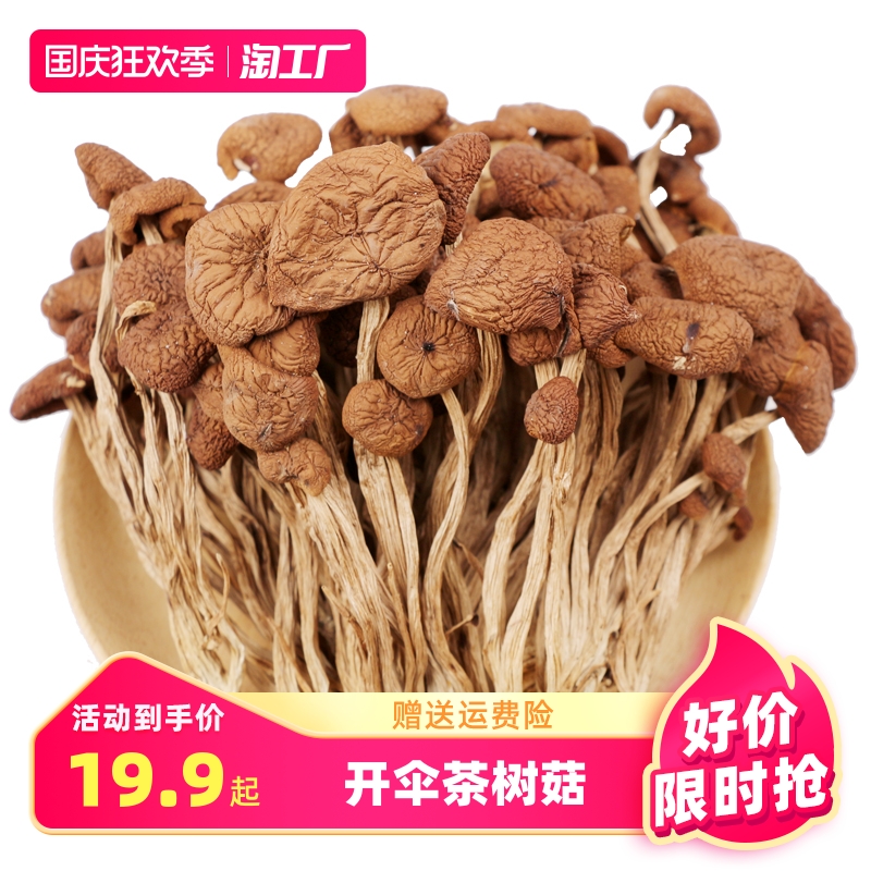 福建茶树菇干货级特新鲜蘑菇商用批发营养菌菇类炖汤火锅鹿茸菇