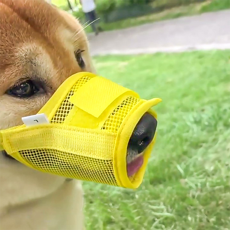 犬の口のカバーは犬が噛むのを防ぎます。小型の大型犬のマスクを食べます。|undefined