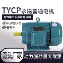 南阳防爆微特电机TYFD稀土永磁同步电机交流380V变频电机空压机