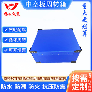 Plastic Turnover Box Pp Plastic Hollow Board Partition Board Anti-Static Turnover Box Wantong Board Corrugated Board Recyclable