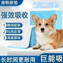 ���ӼӺ��������|����������Һ�����ճ��坍�|��С��Ȯ؈ͨ��