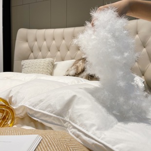Cloud 95 Big White Goose Quilt Fluffy Warm Double High-end Quilt Core Soft Waxy Cotton Four Seasons Comfortable Down Quilt