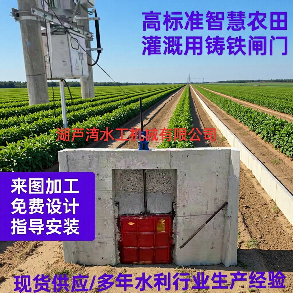 现货平板铸铁闸门高标准智慧农田灌溉启闭机手电两用水库