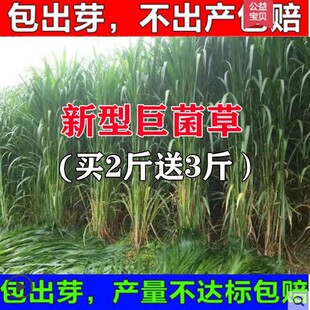 ���͸߮a�޾��ݷN�Ӷ������ļ����ݷN����ݻ���ݷN�Ӱ��]������